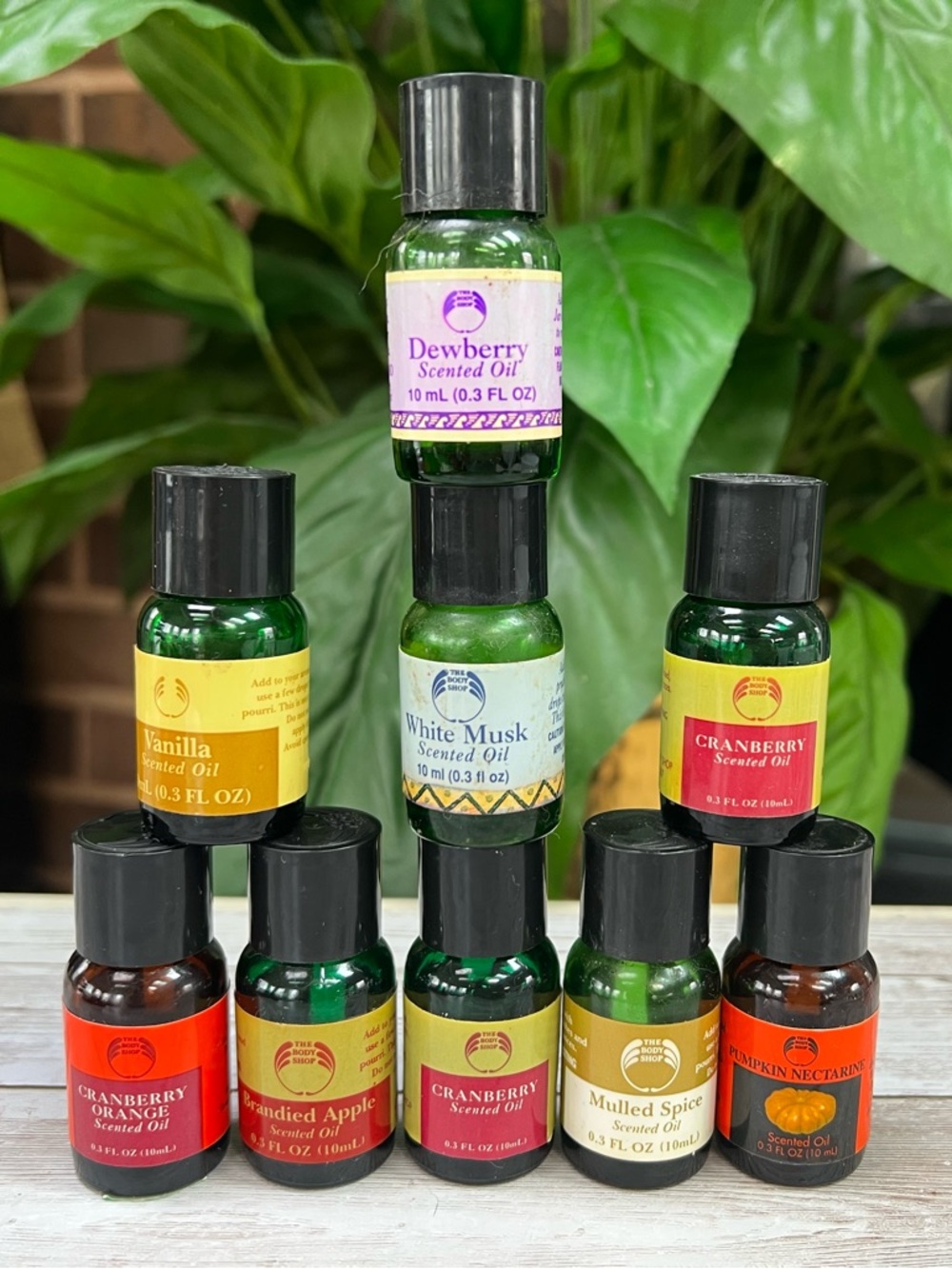 Vintage Body Shop Dewberry & Cranberry Scented Oils Set  Aromatherapy